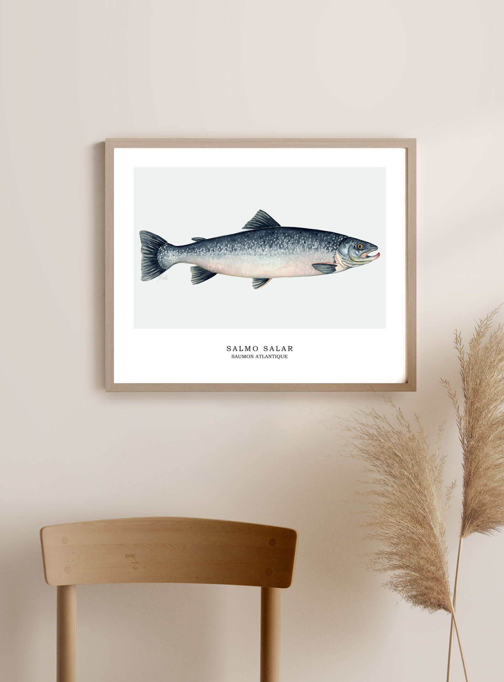 Affiche Saumon Atlantique