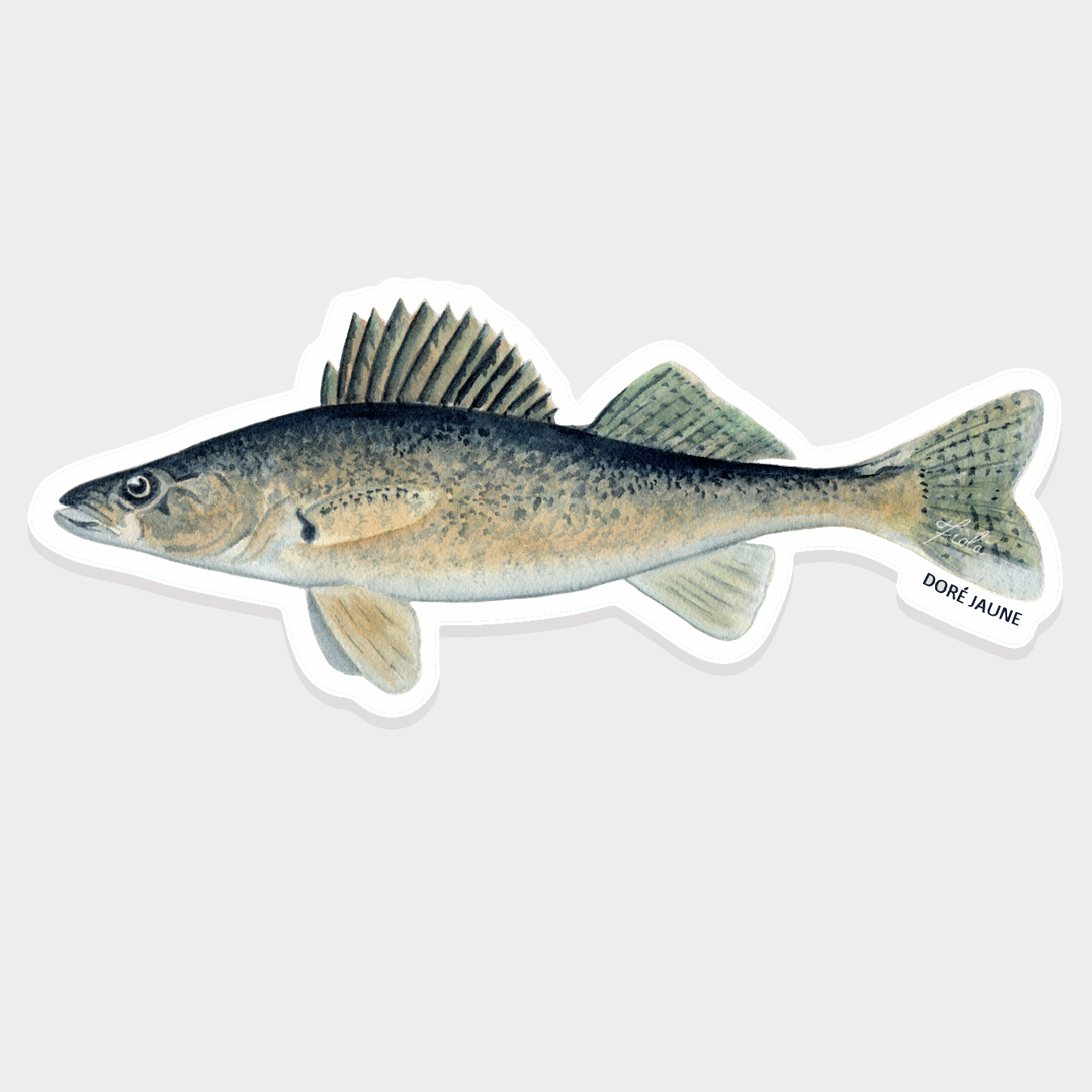 Autocollants – Image 5