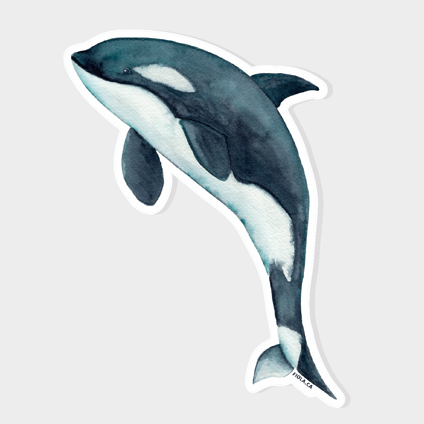 Autocollants – Image 6