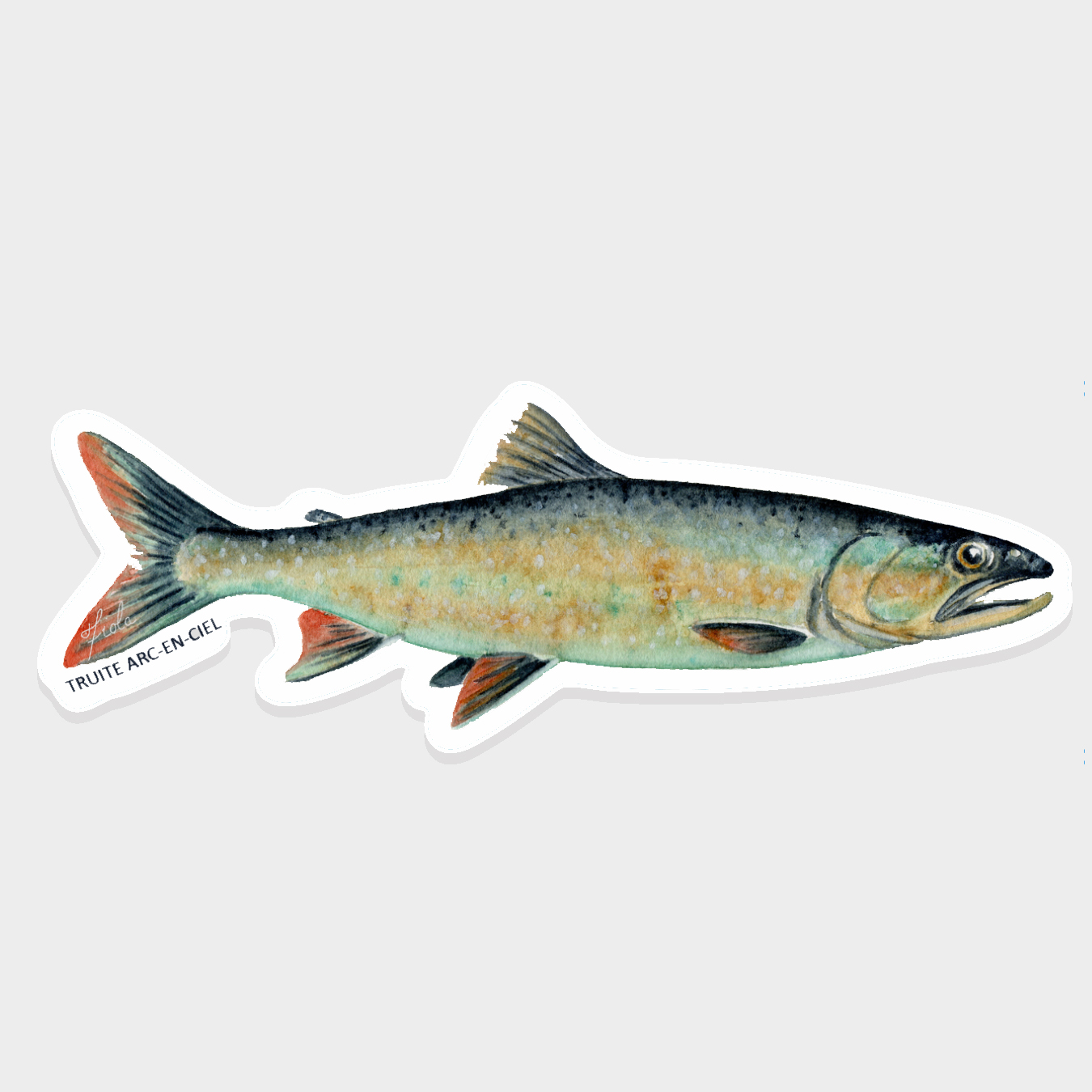 Autocollants – Image 17